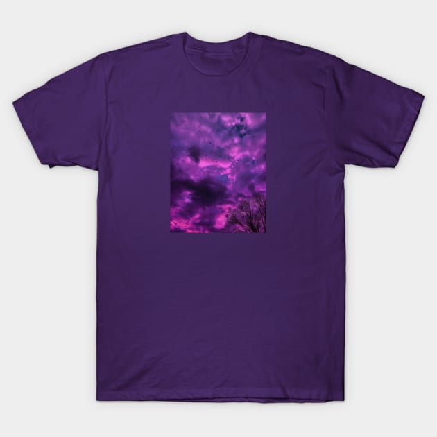 Night sky T-Shirt by floatingheavy